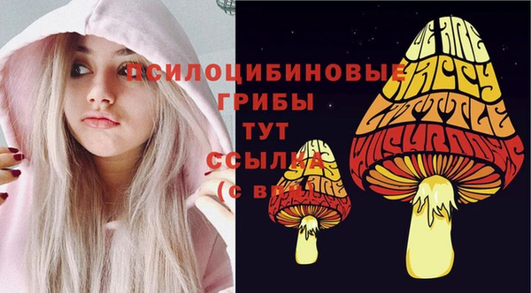 амфетамин Алексин