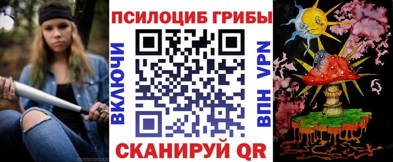 где можно купить наркотик  Новоалександровск  Галлюциногенные грибы ЛСД 
