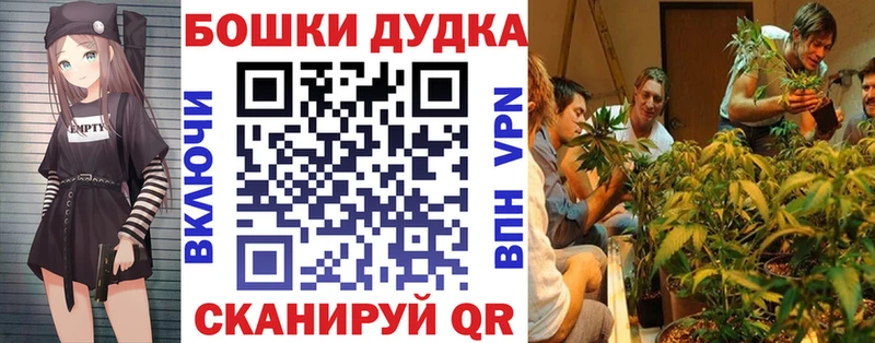 Шишки марихуана AK-47  купить наркоту  Новоалександровск 